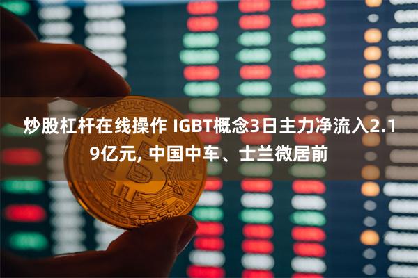 炒股杠杆在线操作 IGBT概念3日主力净流入2.19亿元, 中国中车、士兰微居前