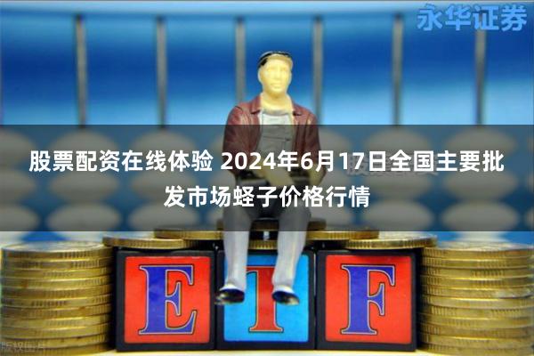 股票配资在线体验 2024年6月17日全国主要批发市场蛏子价格行情