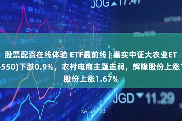 股票配资在线体验 ETF最前线 | 嘉实中证大农业ETF(516550)下跌0.9%，农村电商主题走弱，辉隆股份上涨1.67%