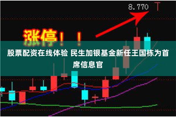 股票配资在线体验 民生加银基金新任王国栋为首席信息官